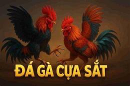 69 win vn