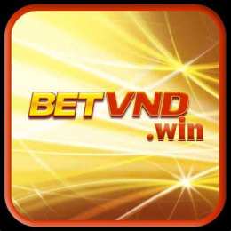 betvnd win