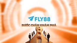 fly 88
