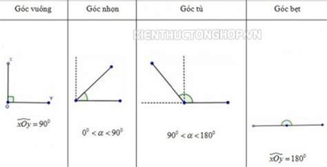 goc bet