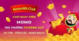 momo88 club