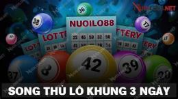 nuoilo 88