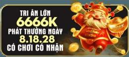 q88 vip