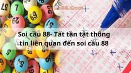 soi cau 88