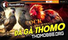 thomo 88