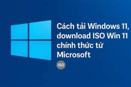 win 11